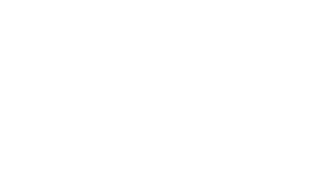 NEW IDOL PROJECT 2025